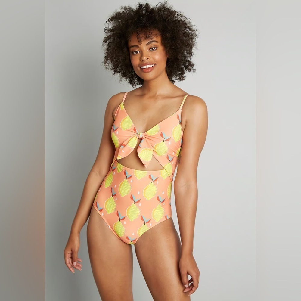 ModCloth The Siena One-Piece Swimsuit 1x
